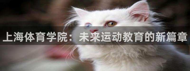3377体育官网下载平台注册要钱吗：上海体育学院：未来运动教