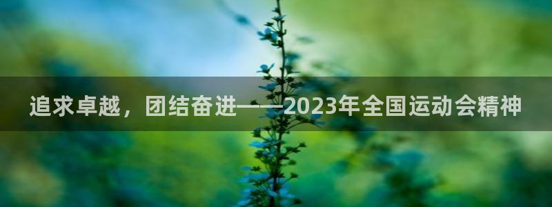 3377体育官网下载平台是正规平台吗知乎：追求卓越，
