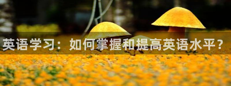 3377体育官网下载平台假的吗是真的吗吗：英语学习：如何掌握
