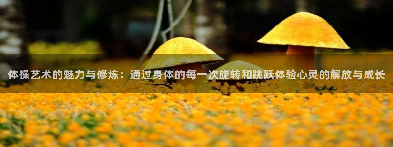 3377体育官网下载招商电话是多少：体操艺术的魅力与