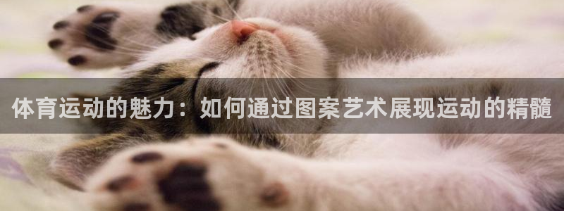 3377体育官网下载开户：体育运动的魅力：如何通过图