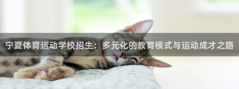 3377体育官网下载平台APP：宁夏体育运动学校招生：多元化