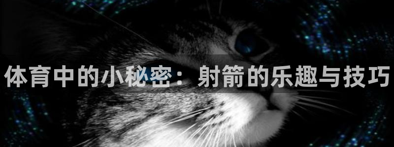3377体育官方正版app神州：体育中的小秘密：射箭的乐趣与