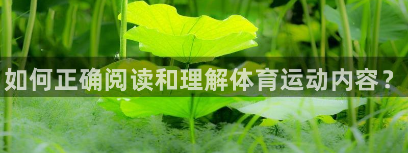 3377体育官方正版app娱乐代理怎么样：如何正确阅读和理解