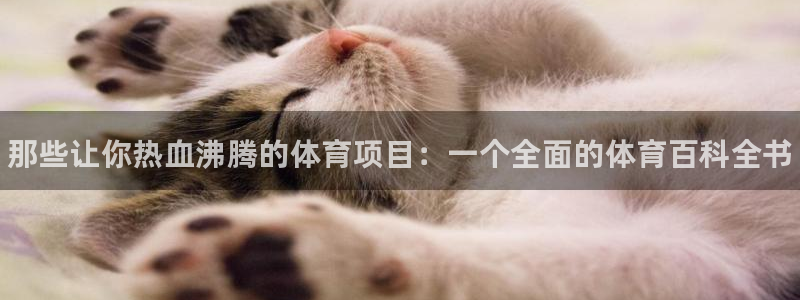 3377体育官网下载平台是正规平台吗安全吗：那些让你