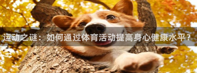 3377体育官网下载平台假的吗是真的吗吗：运动之谜：如何通过