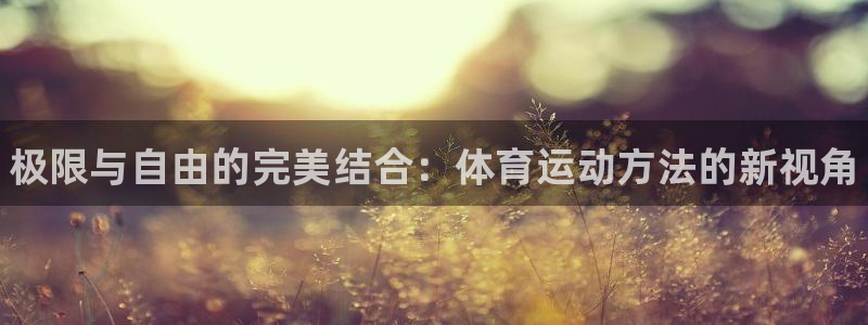 3377体育官网下载招商电话号码是多少号：极限与自由的完美结