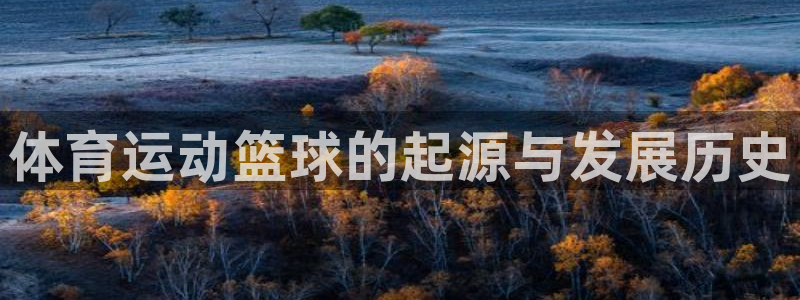 3377体育官网下载官方客服电话：体育运动篮球的起源