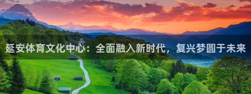3377体育官方正版app集团：延安体育文化中心：全