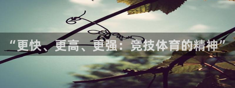 3377体育官方正版app官方：“更快、更高、更强：