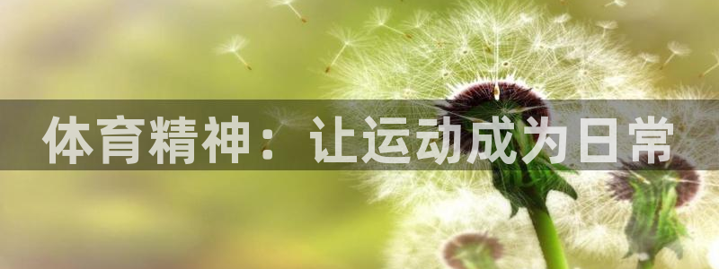 3377体育官网下载招商电话是多少：体育精神：让运动成为日常