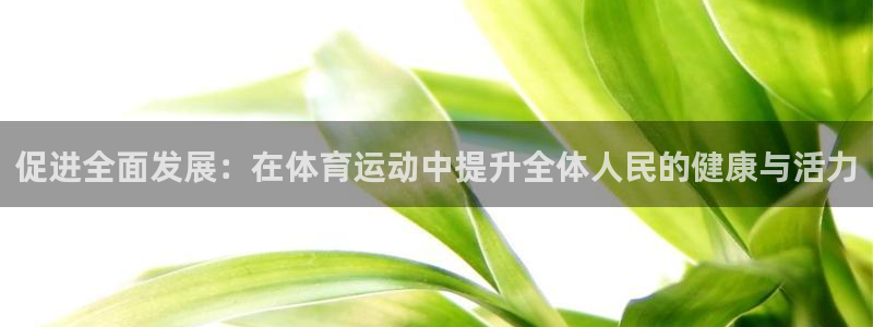3377体育手机平台