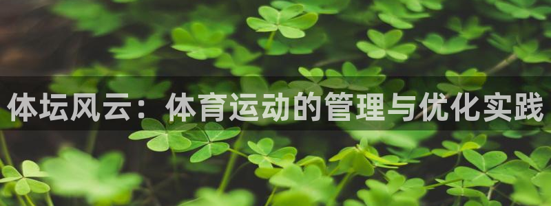 3377体育官网
