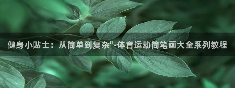  3377体育是正规平台吗还是黑金：健身小贴士：从简单到复杂\