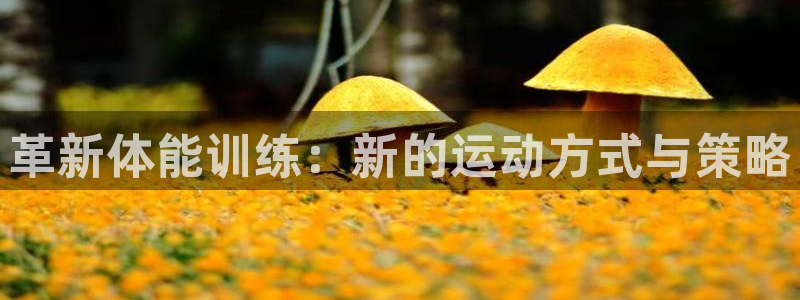 3377体育app官网下载最新版本2