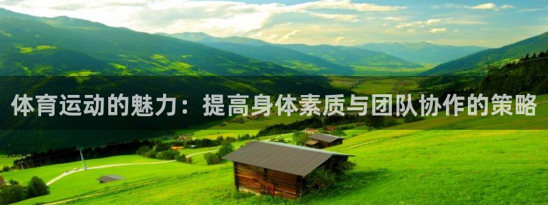  3377体育十大必吃榜：体育运动的魅力：提高身体素质与团队协