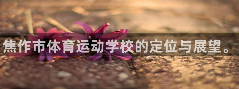 3377体育退款：焦作市体育运动学校的定位与展望。