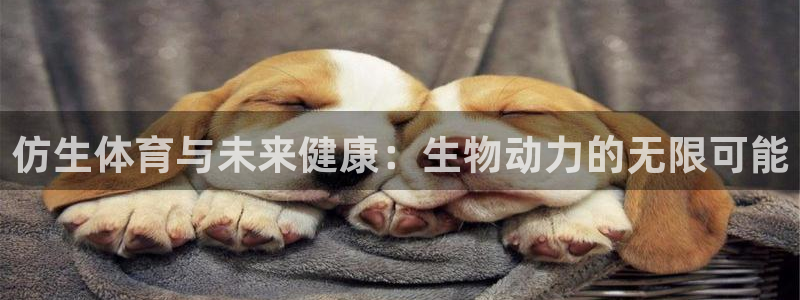  3377体育官网址：仿生体育与未来健康：生物动力的无限可能