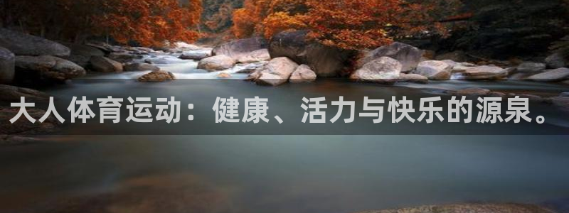 3377体育平台正规吗怎么样：大人体育运动：健康、活力与快乐