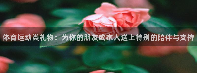  3377体育中国官方网站入口：体育运动类礼物：为你的朋友或家
