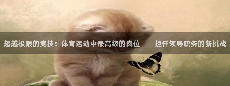 3377体育中国官方网站入口：超越极