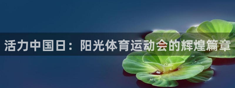 3377体育是哪的：活力中国日：阳光体育运动会的辉煌篇章