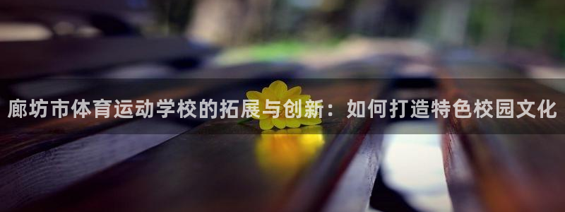 3377体育提款容易通过吗：廊坊市体育运动学校的拓展与创新：