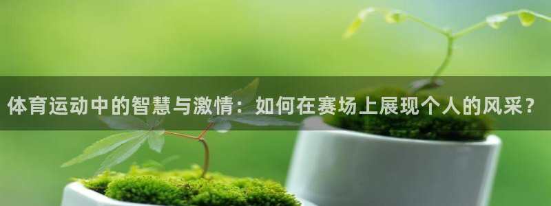 3377体育属于国家打击范围吗：体育