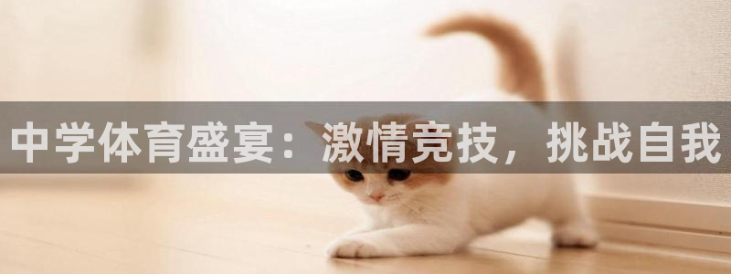 3377体育是正规平台吗：中学体育盛