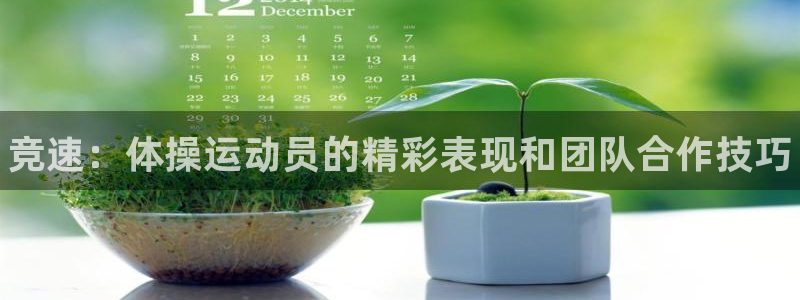 3377体育官网下载招商电话是多少啊：竞速：体操运动员的精彩