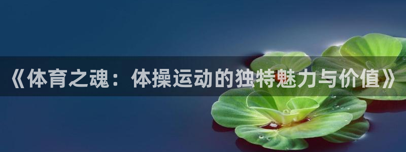 3377体育官网下载招商电话地址查询：《体育之魂：体操运动的