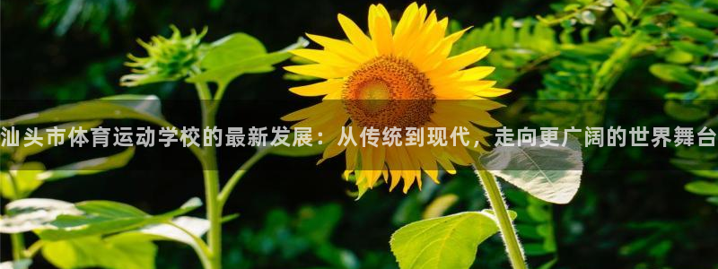 3377体育官网下载联系电话：汕头市体育运动学校的最新发展：