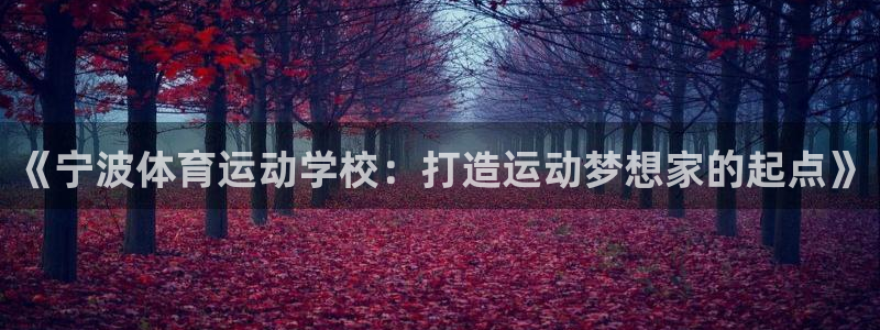 3377体育官网下载平台假的吗是真的吗：《宁波体育运动学校：